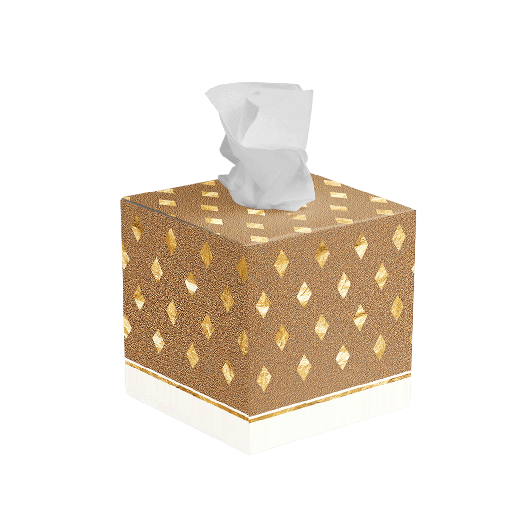 Tissue Box - Everyday Essentials 2026 Collection Package (1 Pcs)