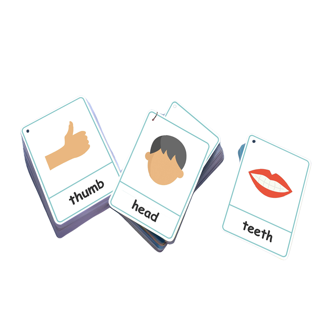 Flash Card - Body Parts - 7.5x11cm -22 Cards