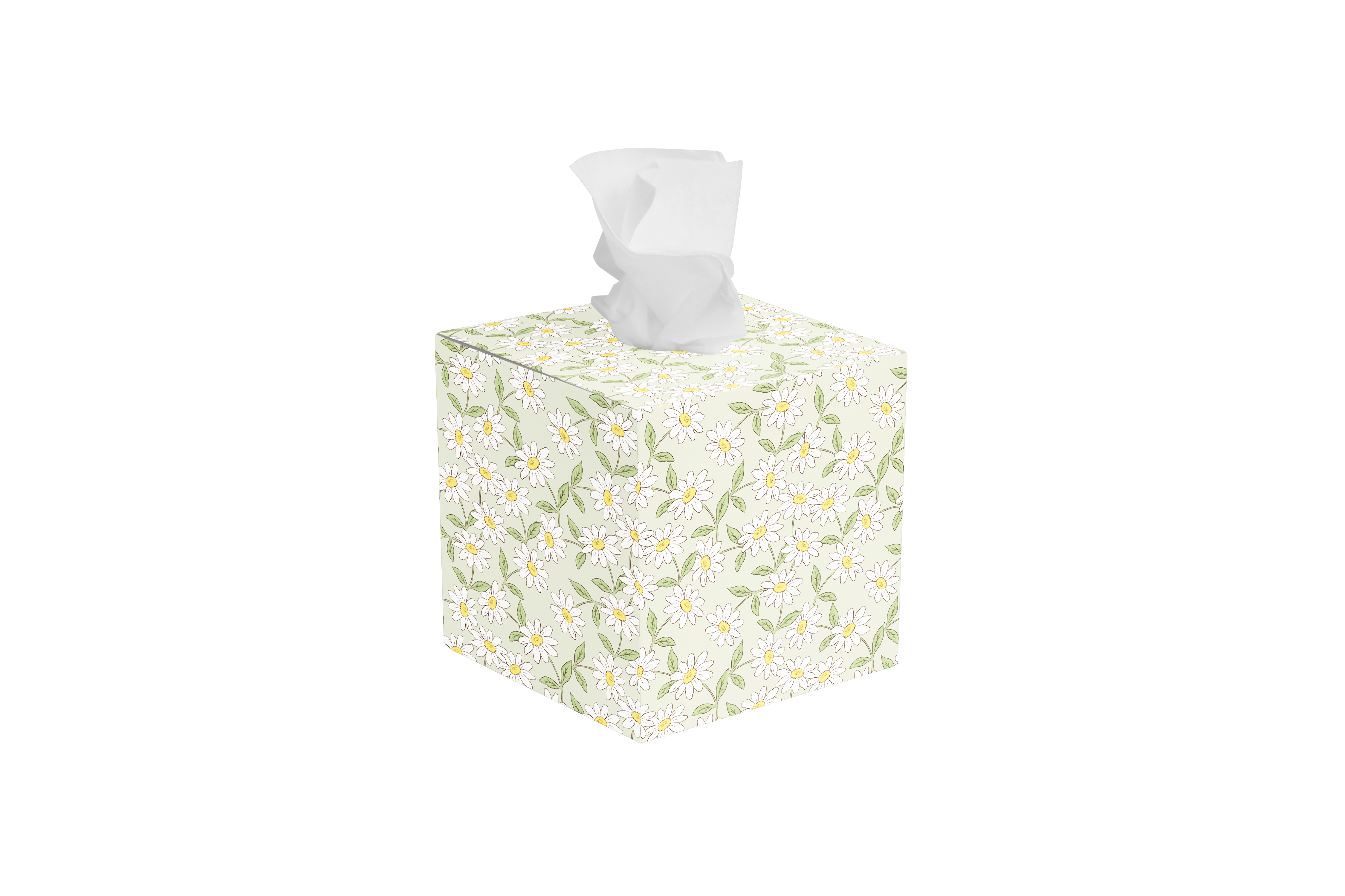 Tissue Box - Everyday Essentials 2026 Collection Package
