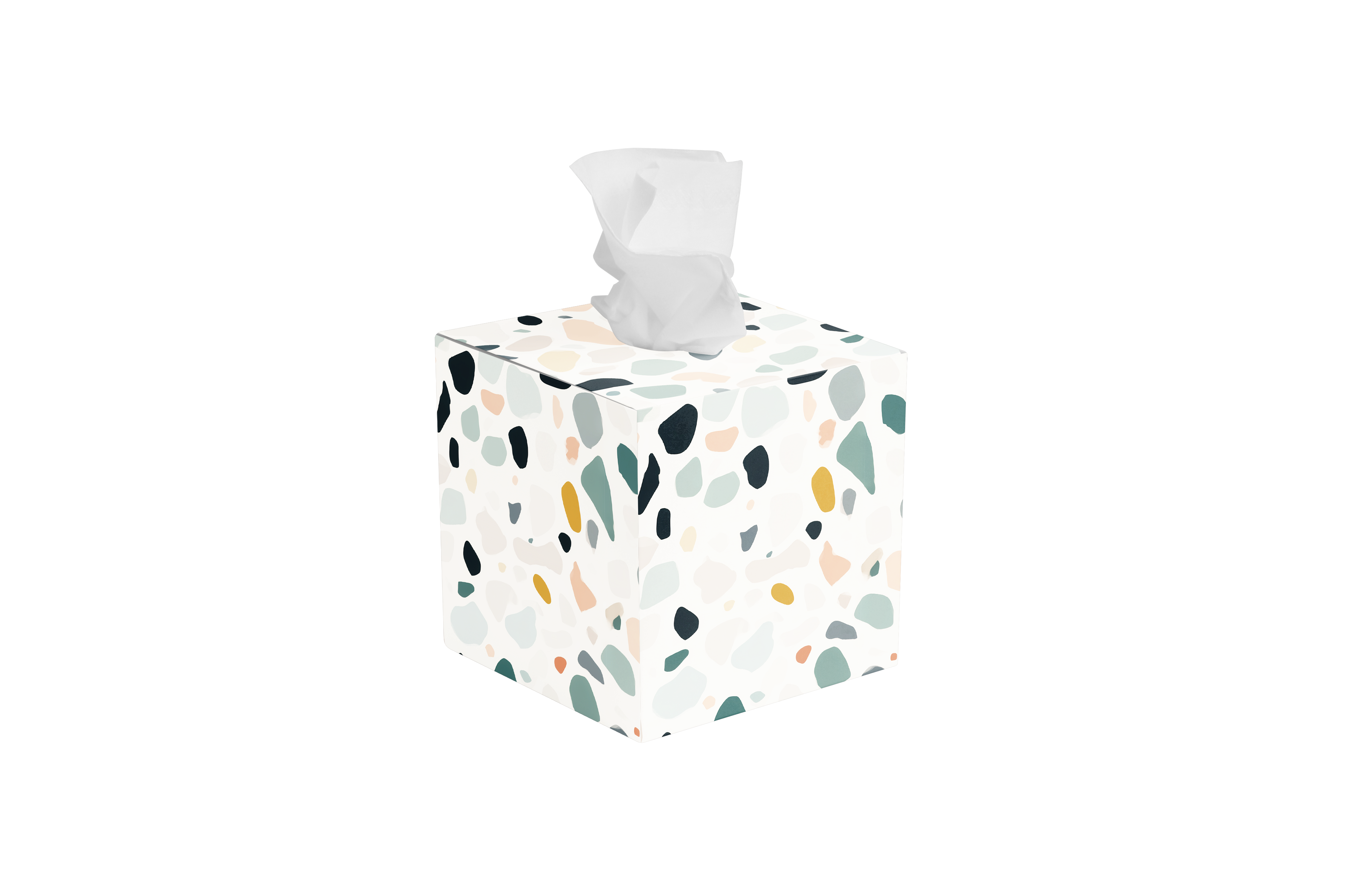 Tissue Box - Everyday Essentials 2026 Collection Package